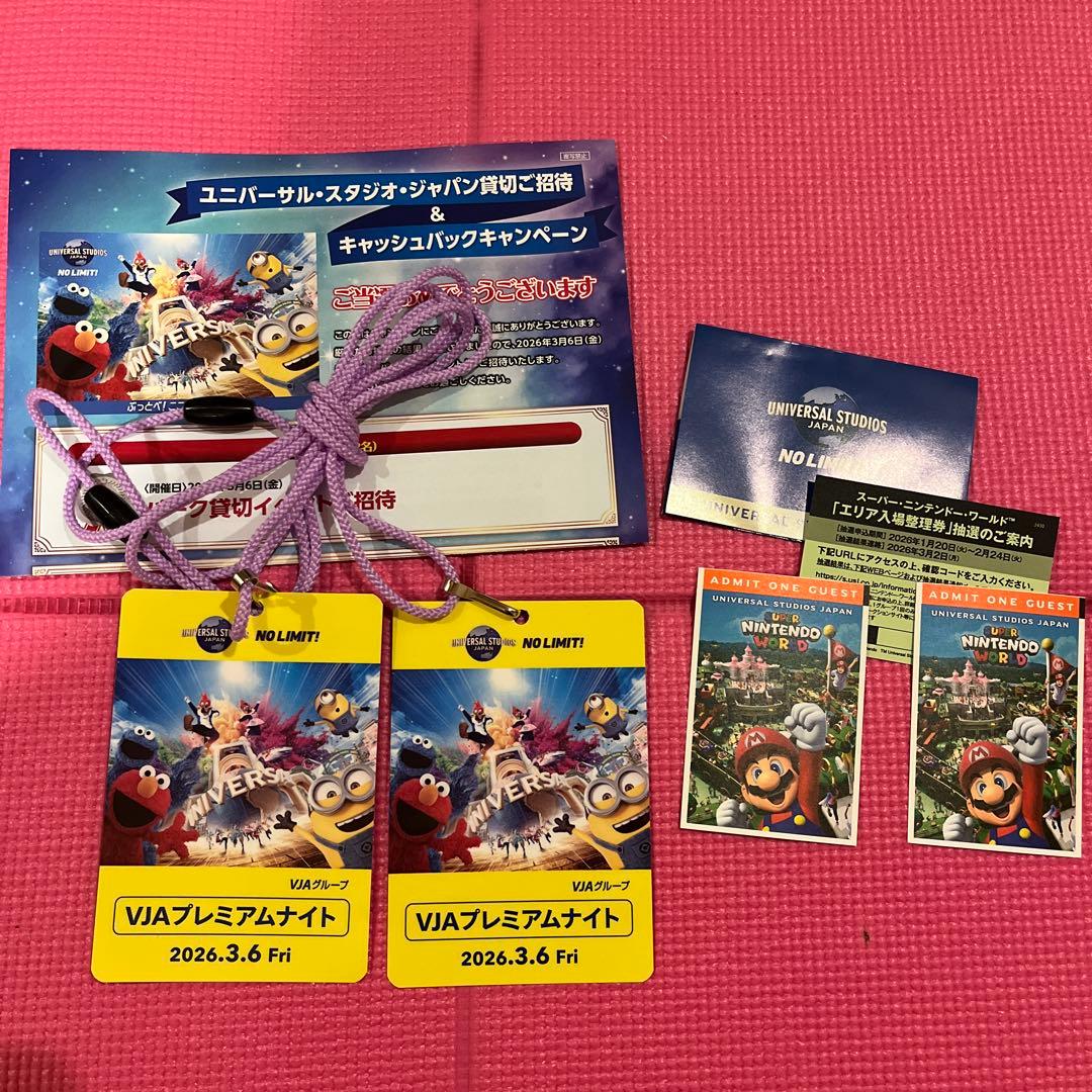 USJ プレミアムナイト 3/6 貸切チケット ユニバーサルスタジオジャパン