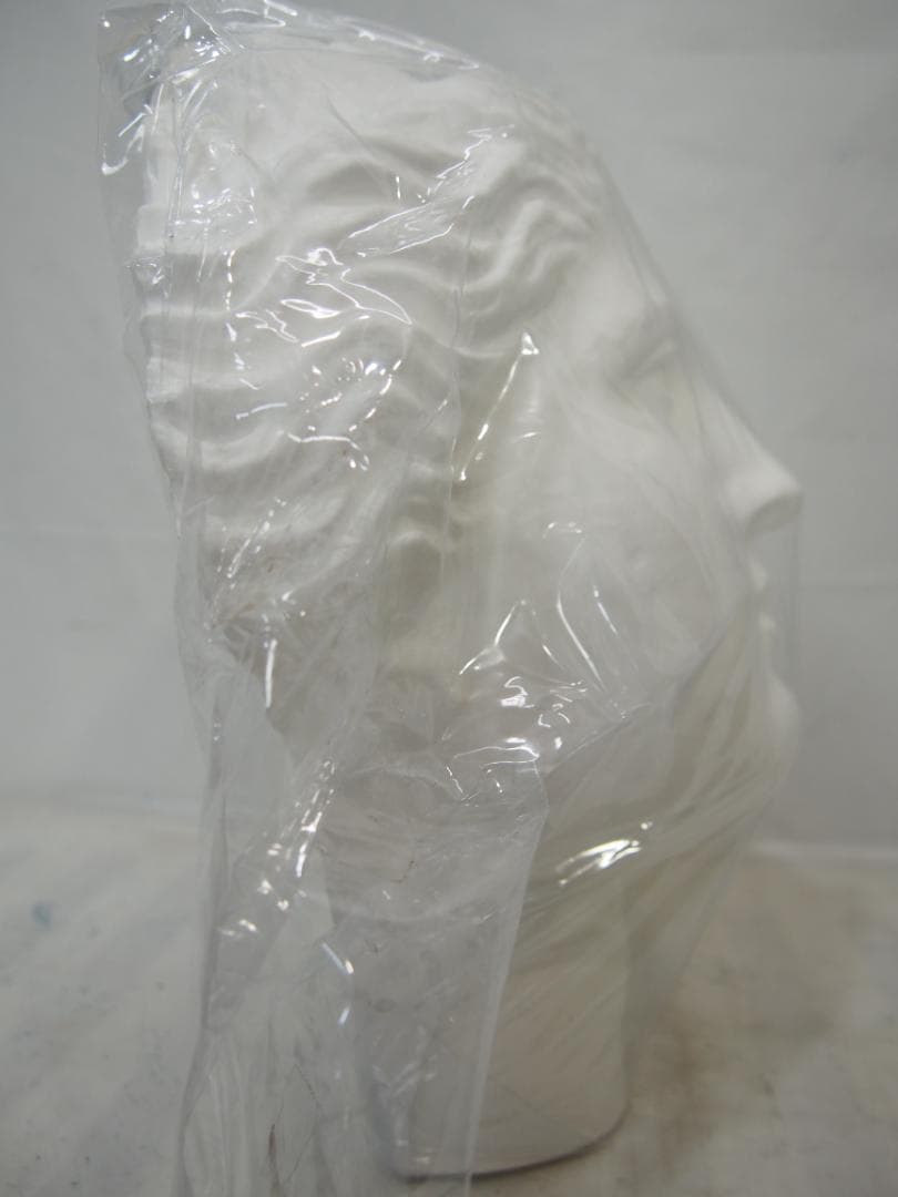 【石膏像】ミロのヴィーナス/美術 西洋彫刻 アート 置物 首像/新品・未使用