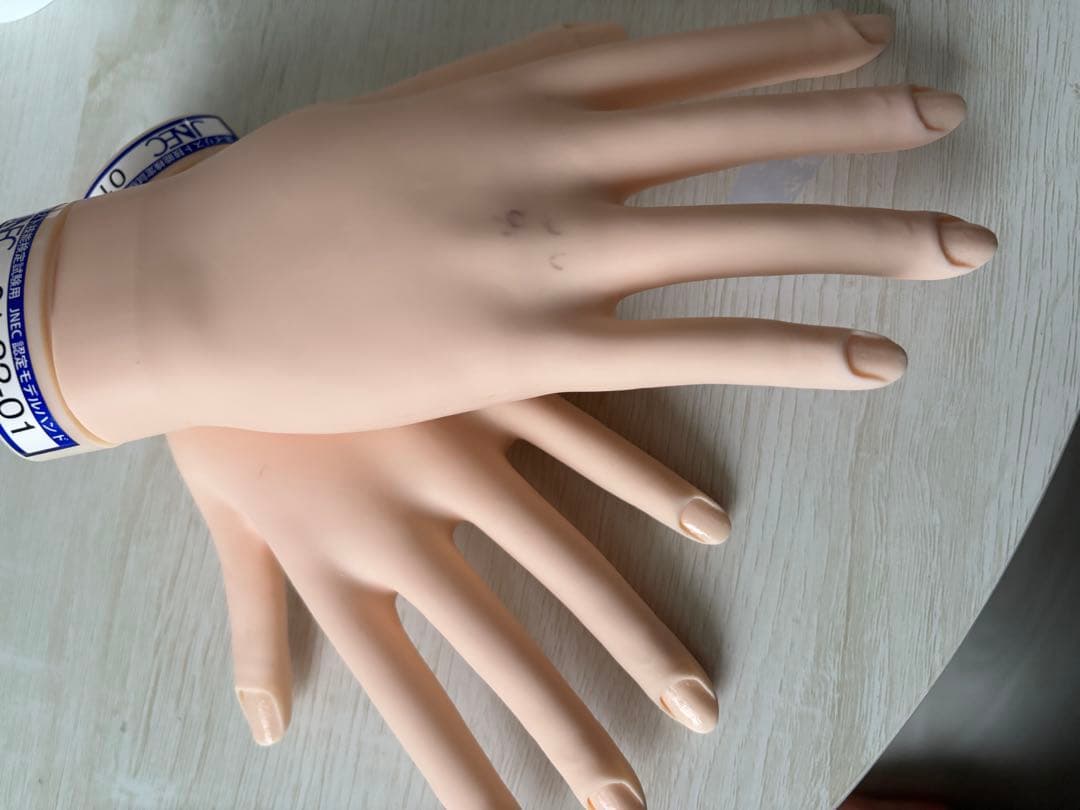 ジェル検定STモデルハンド ネイリスト技能検定試験用 JNEC認定モデルハンド