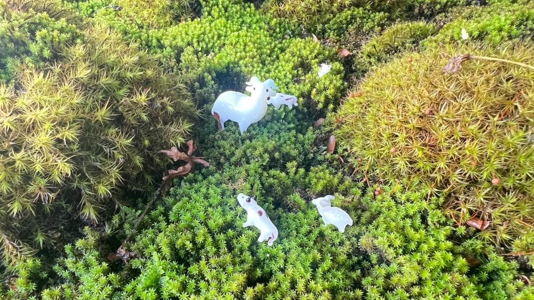 No.55 もみじ　苔　京鞍馬風平石