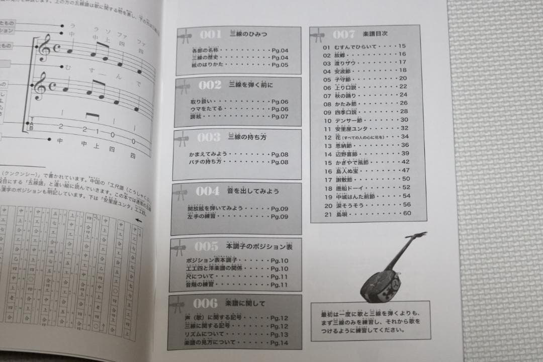 三線 沖縄三線初心者にもやさしいお得なセット、ＤＶＤ、教本、チューナー他付属品付