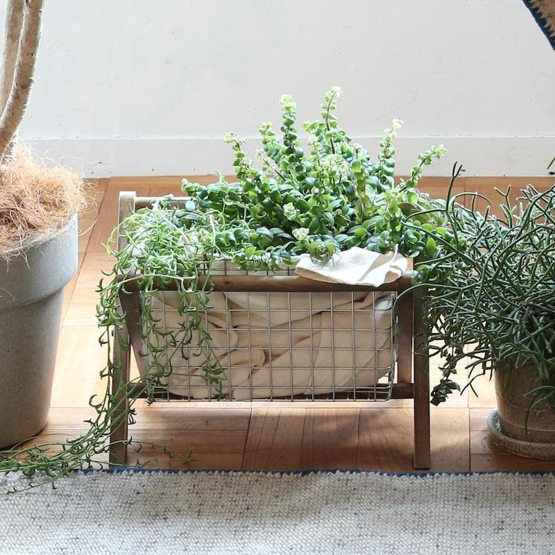 ウッド マガジンラック マガジン ファー ダルトン ラック 新品 リビング収納