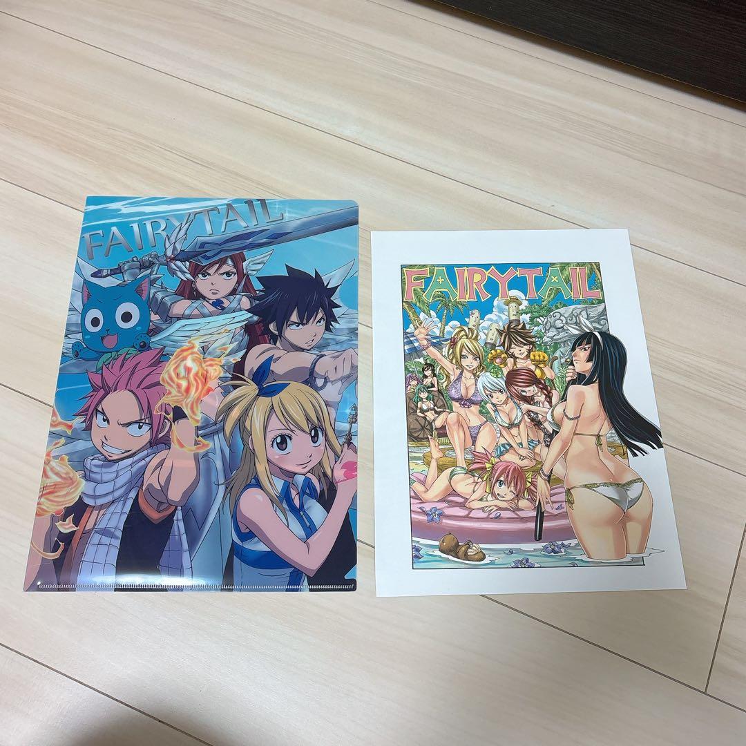 フェアリーテイル FAIRYTAIL ポスター クリアファイル 2枚セット h