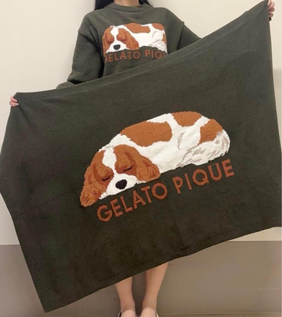 ジェラートピケ SLEEPING DOG ジャガードブランケット キャバリア