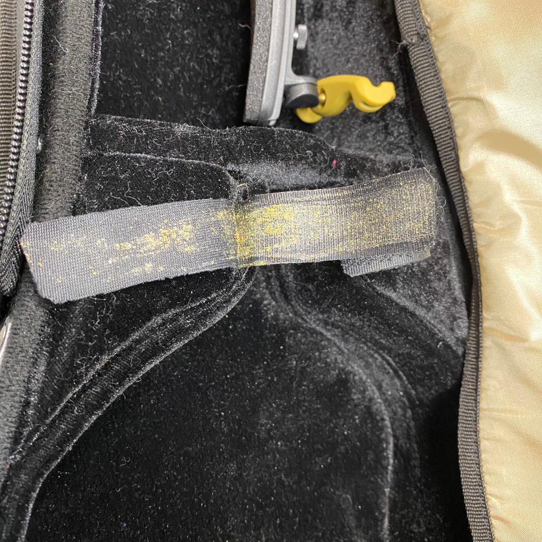 yr60 Andreas Eastman VL80 4/4 2009 バイオリン