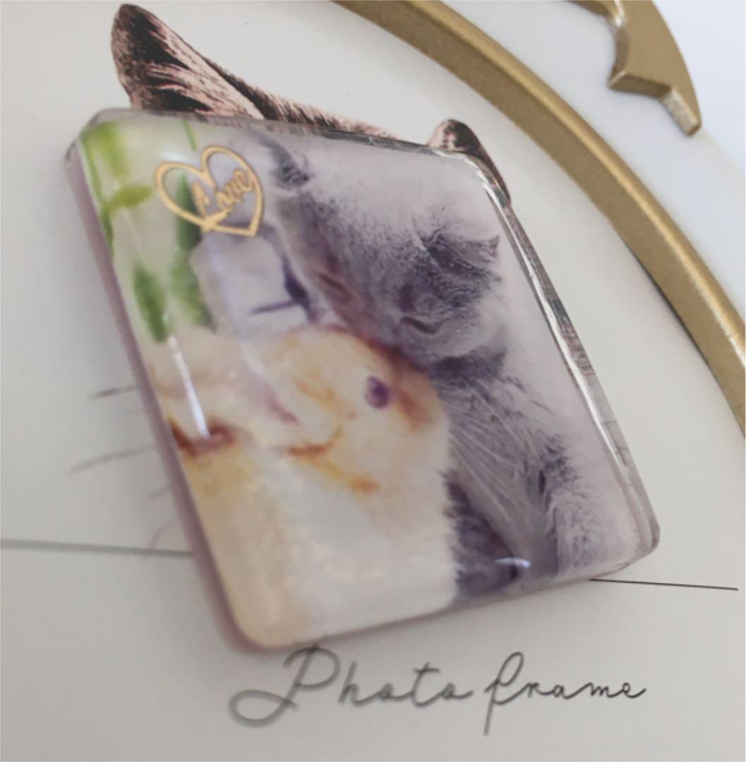 お値下げ♪大好き猫ちゃんとウサちゃん・再販不可