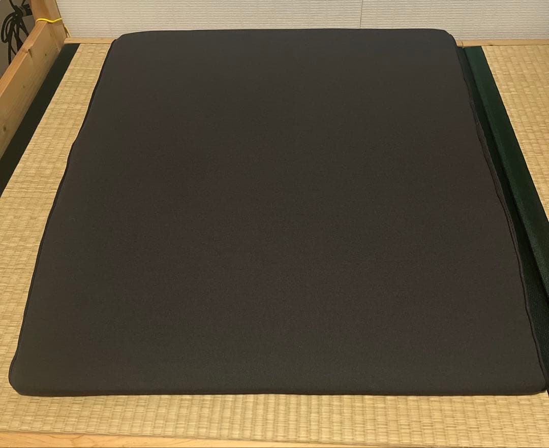 【美品】ゼロスタイル goku's leg pillow 足枕