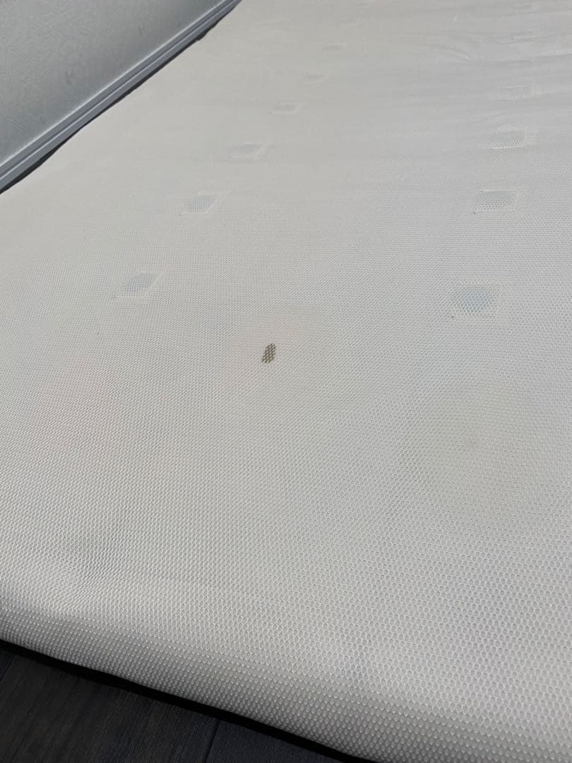 Healing ホルミシスダウン敷マット　シングル カバー付　株式会社ヒーリング