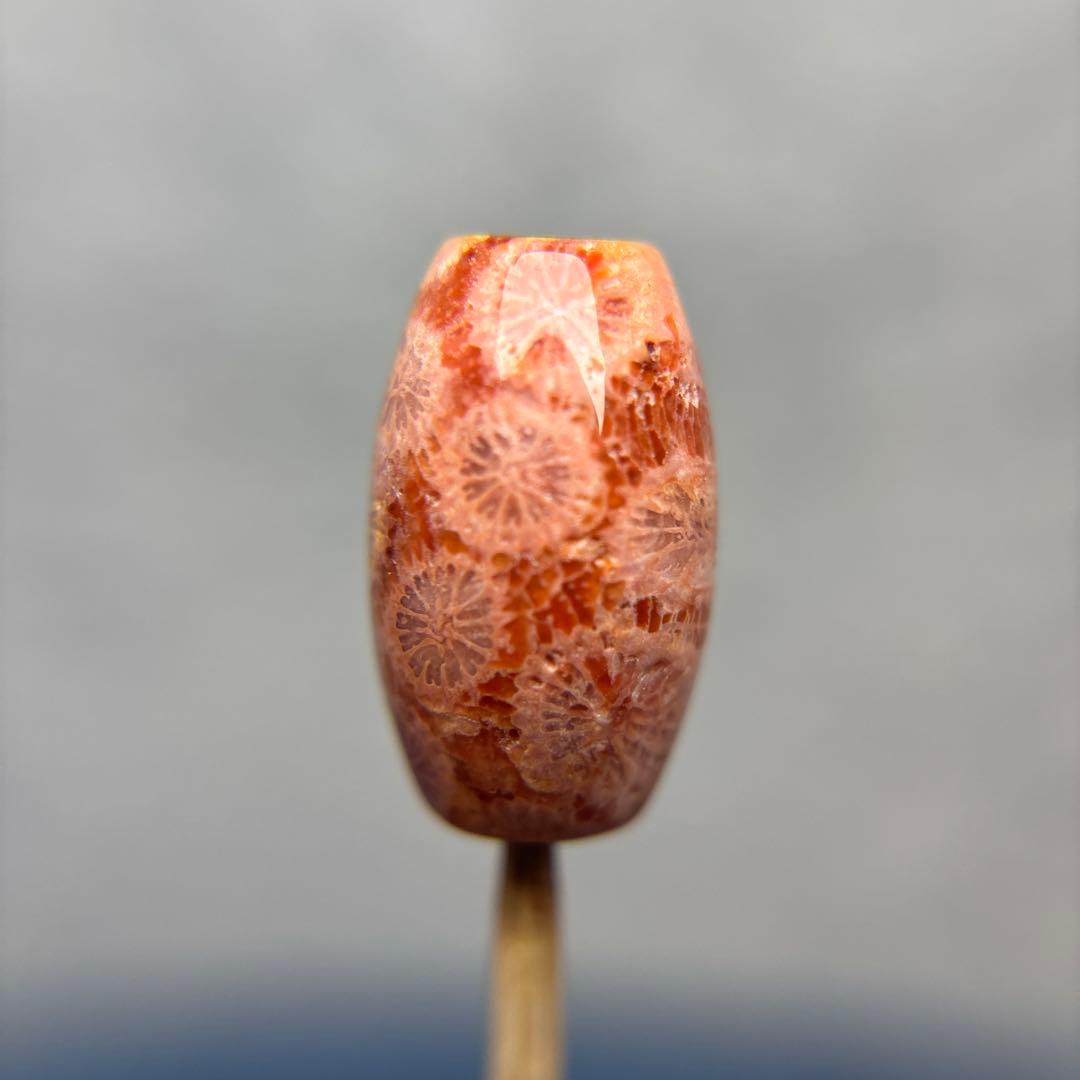 ユッキーフォッシルコーラル　天珠　1-329