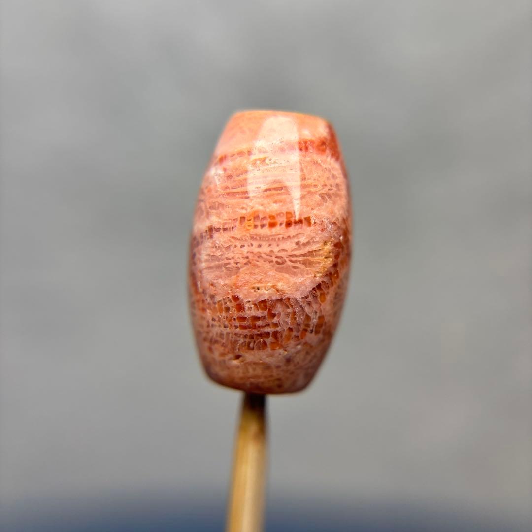 ユッキーフォッシルコーラル　天珠　1-329