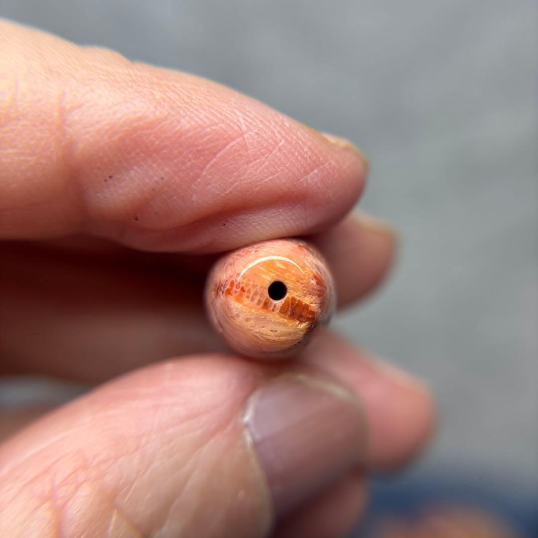 ユッキーフォッシルコーラル　天珠　1-329