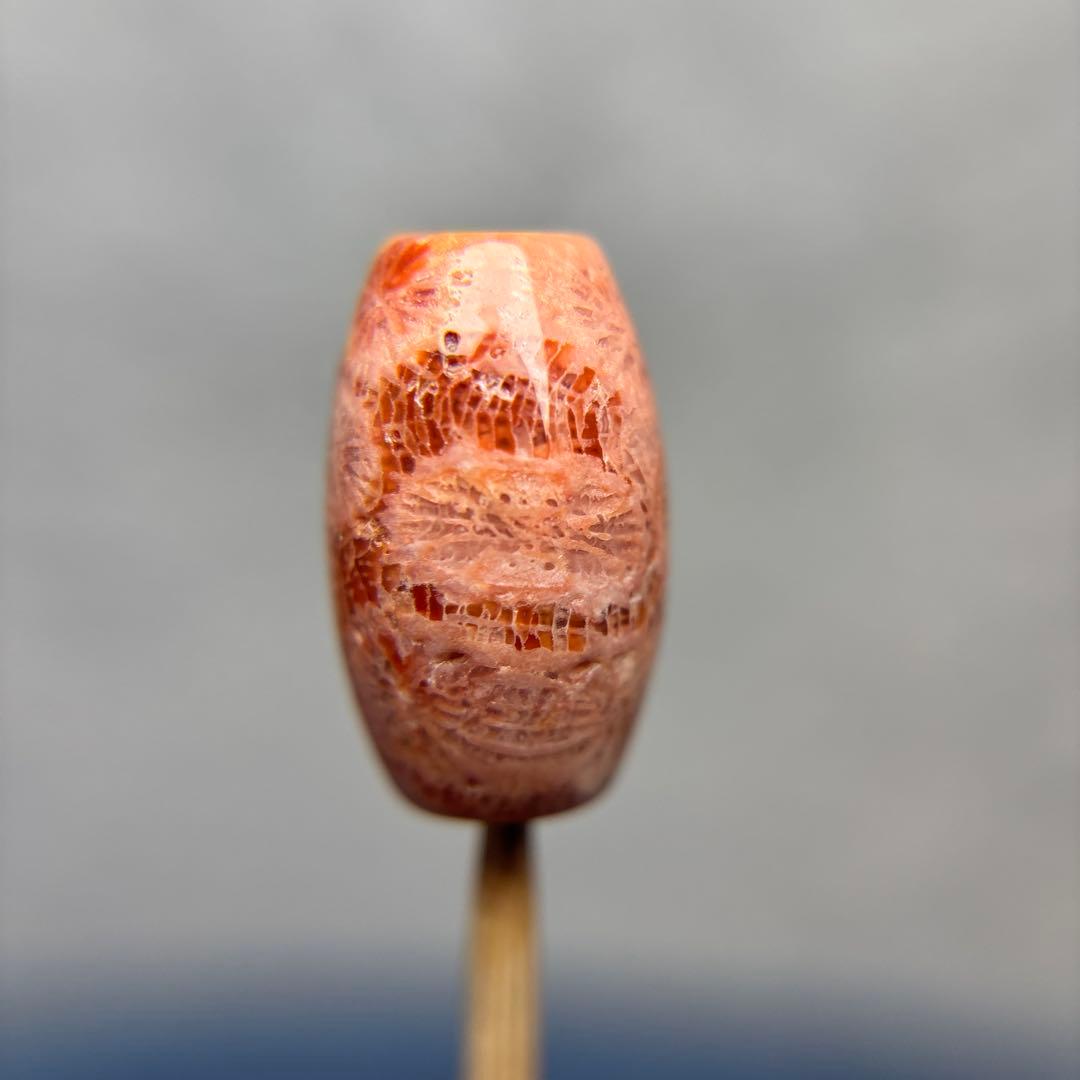 ユッキーフォッシルコーラル　天珠　1-329