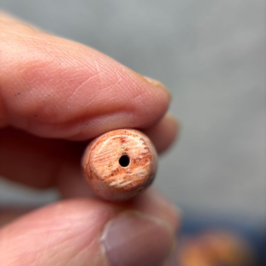 ユッキーフォッシルコーラル　天珠　1-329