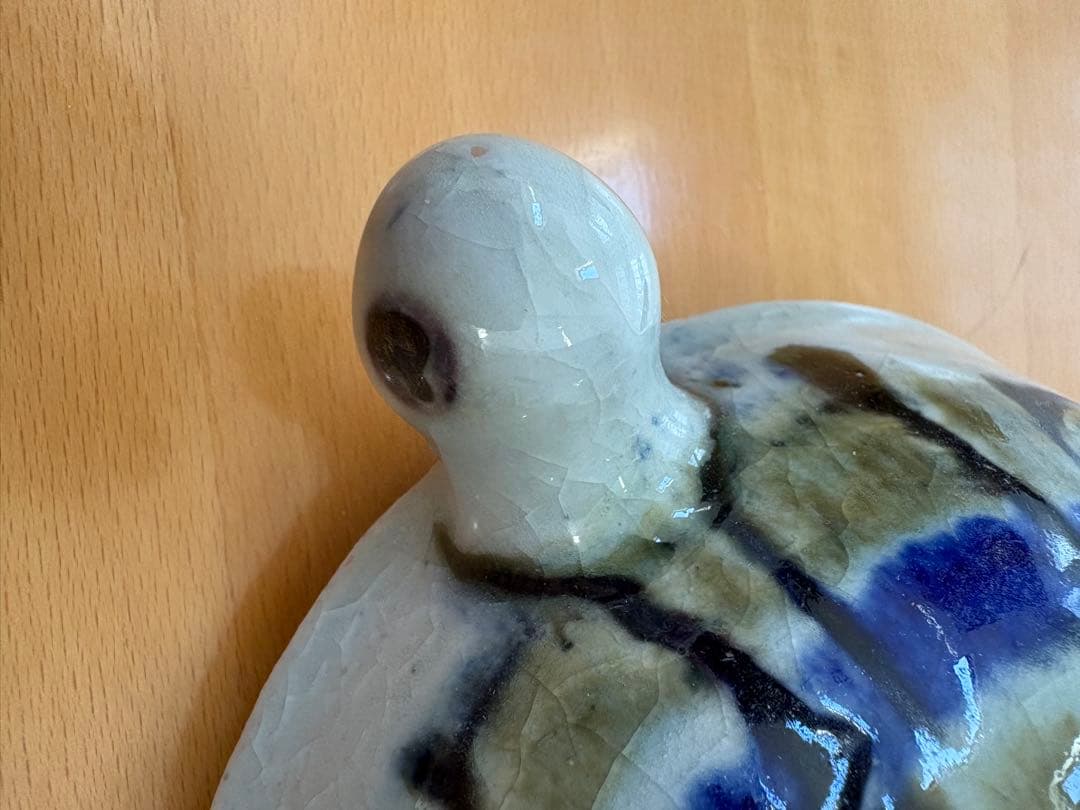 リサラーソン　かめ　亀　カメ　珍しいサイズ