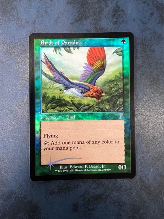 MTG プロプレイヤー・カード 小室修