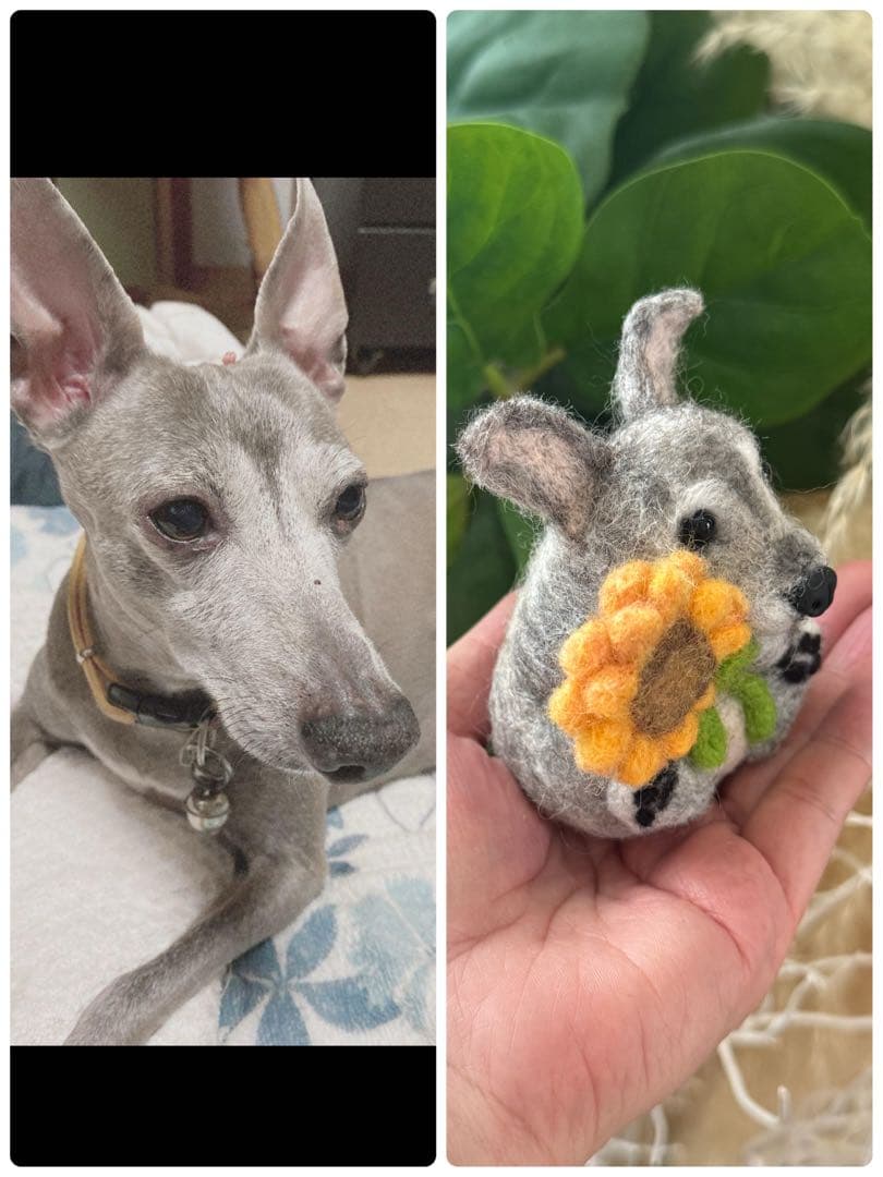 イノ様ご確認用　まんまるあにまるず　むぎゅっとver