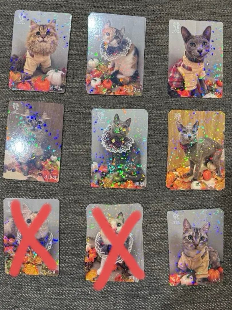 バラ売り可】にゃんずトレカ松本店 2025 - メルカリ