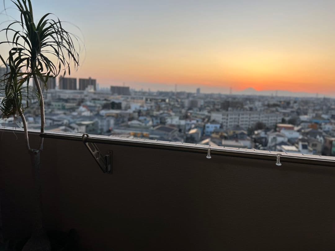 ポニーテールトックリラン植物