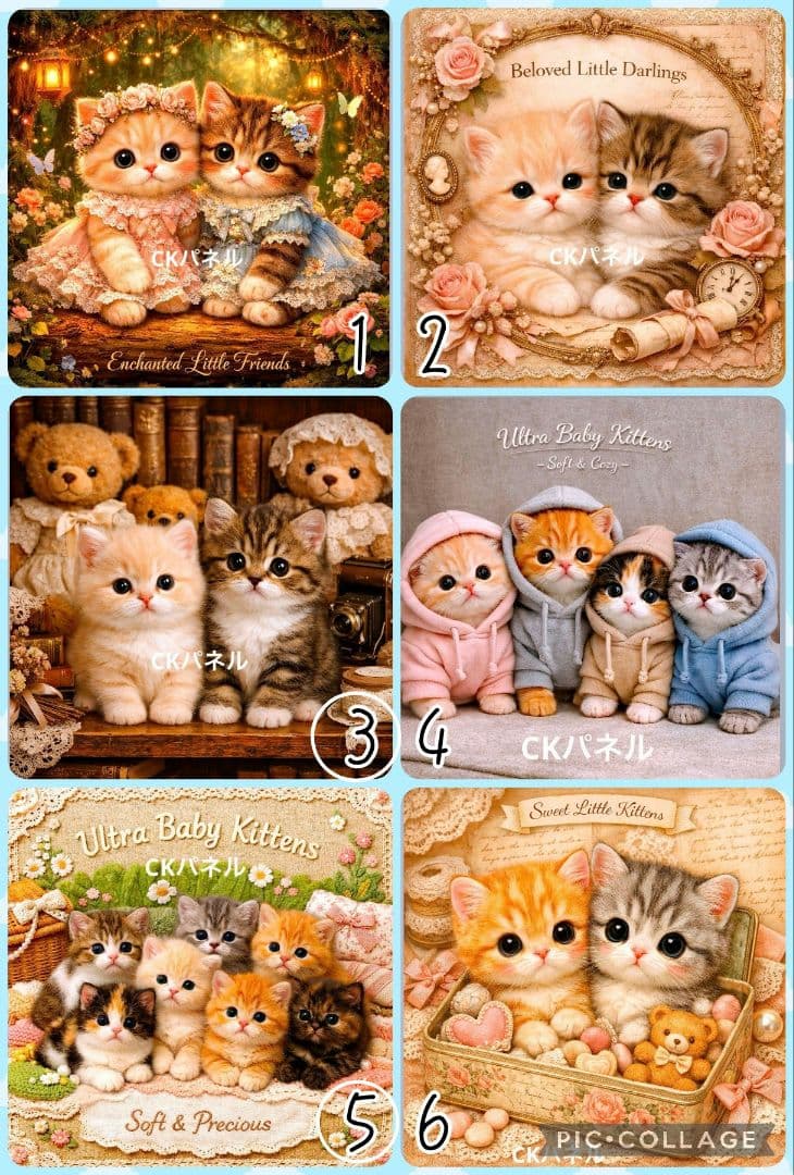 【1月】チロスケ