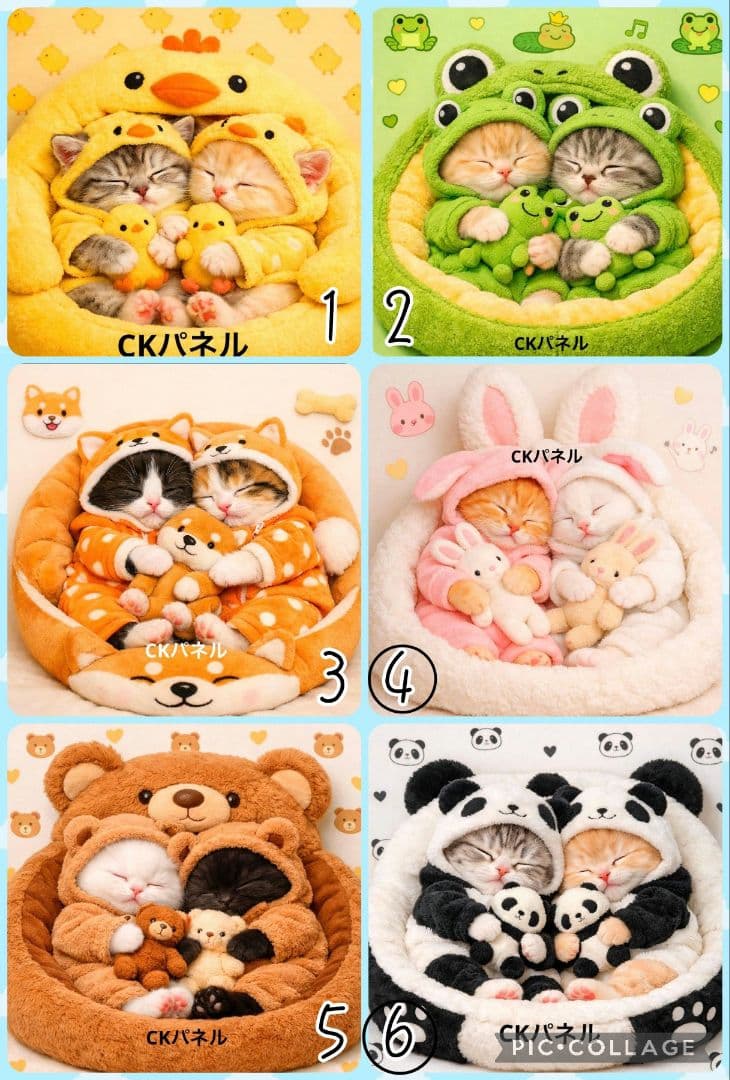 【1月】チロスケ