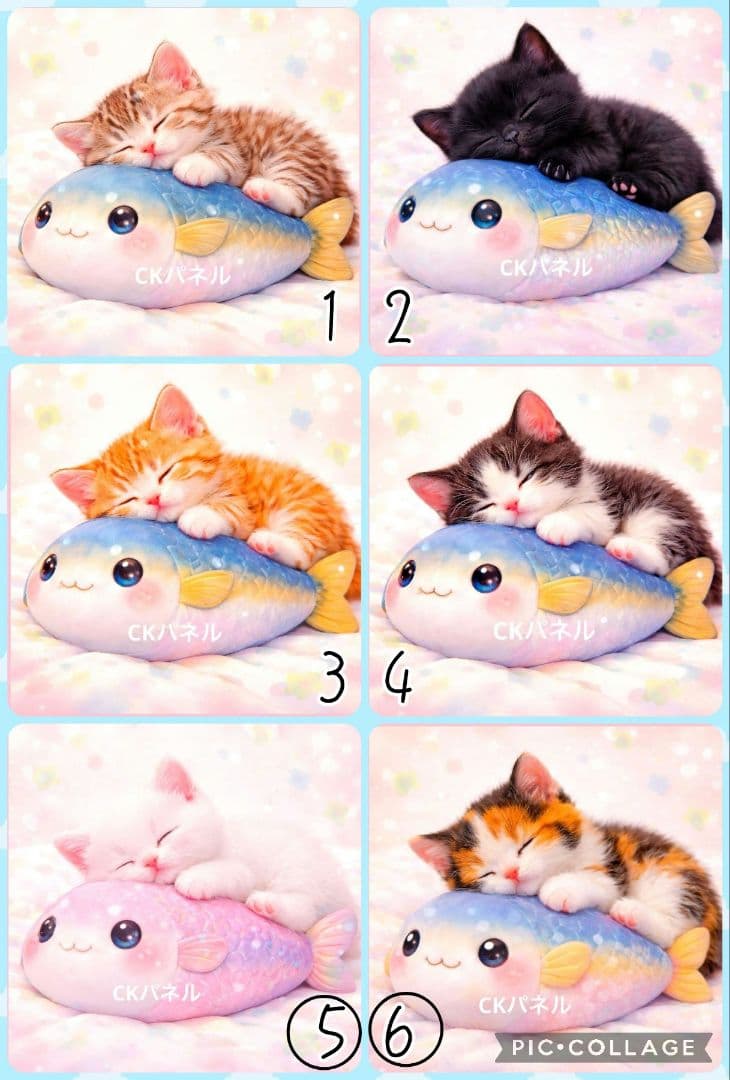 【1月】チロスケ