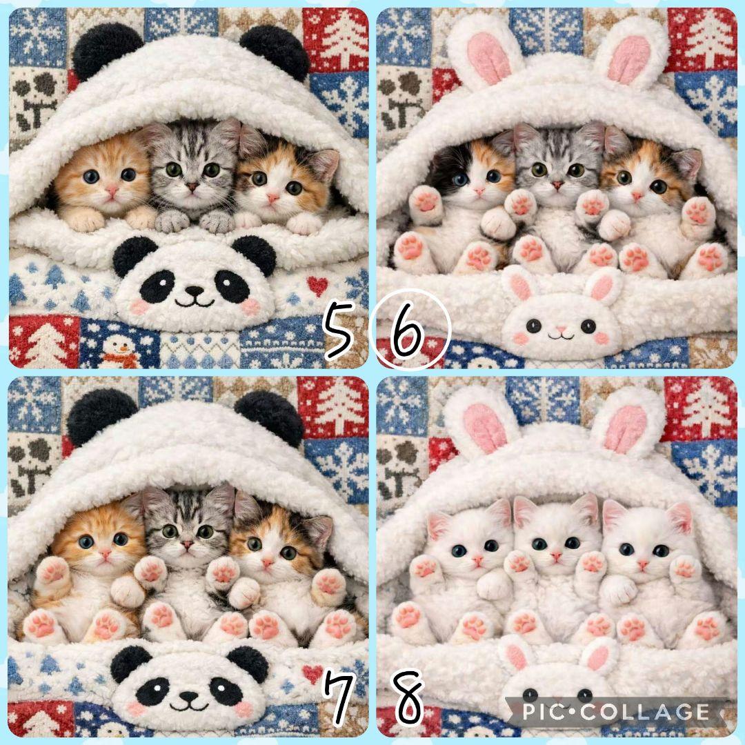 【1月】チロスケ