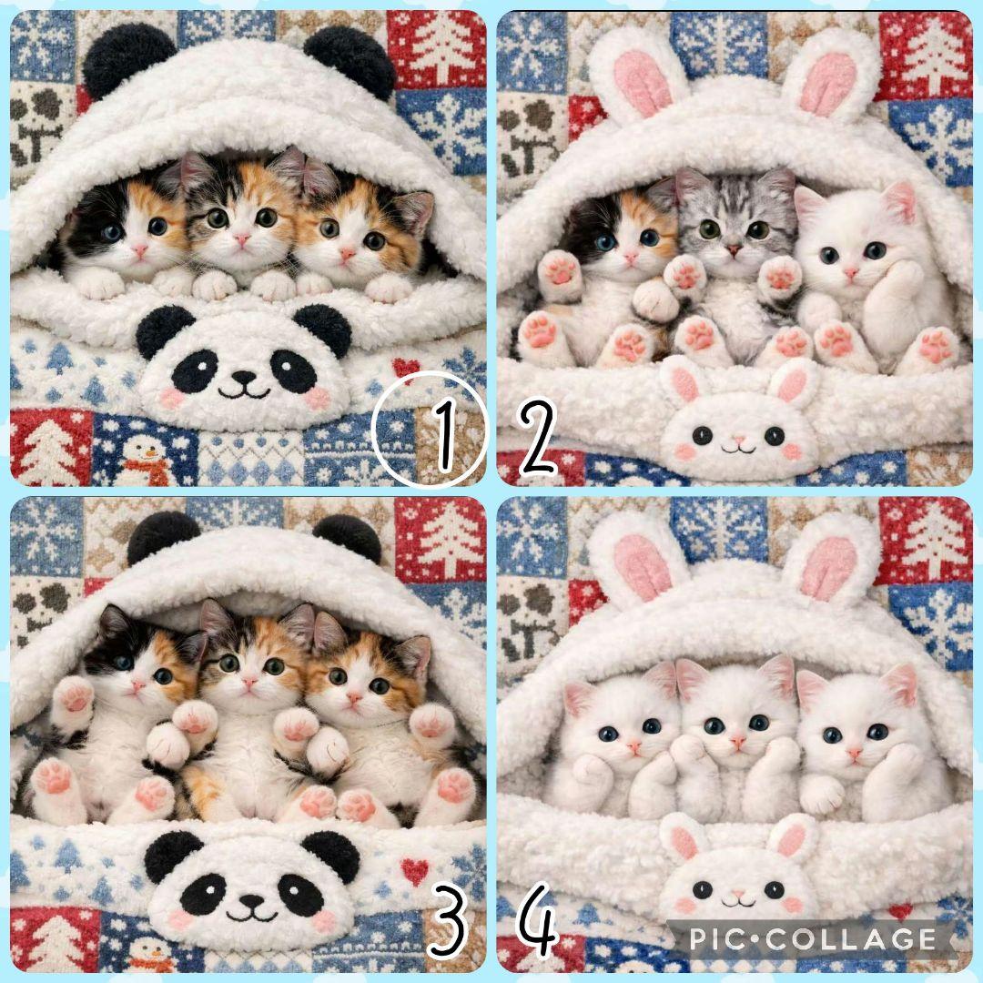 【1月】チロスケ