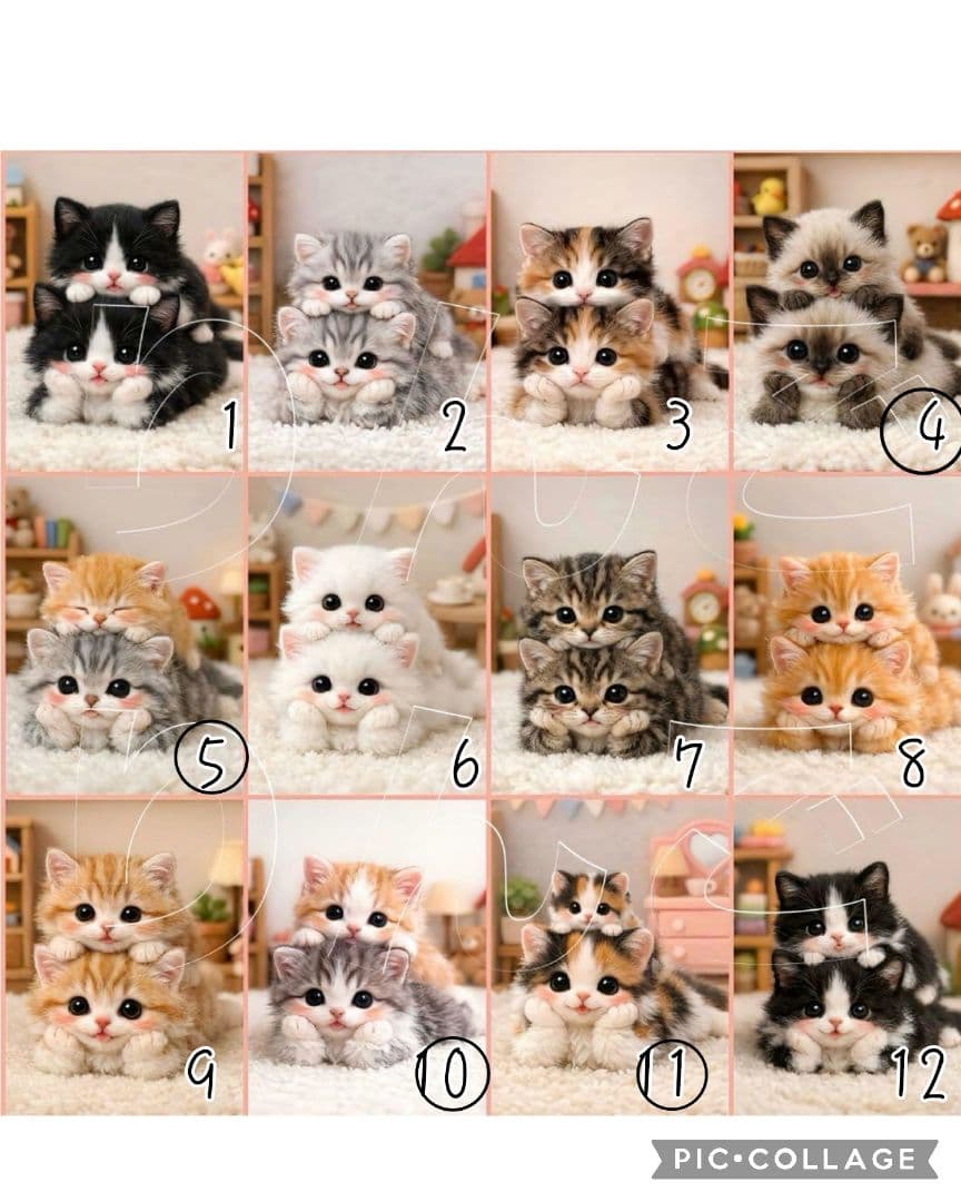 【1月】チロスケ