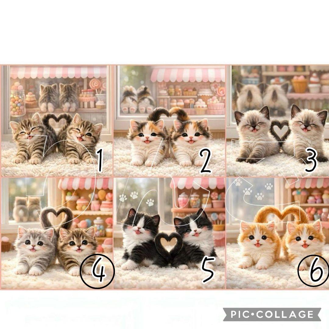 【1月】チロスケ