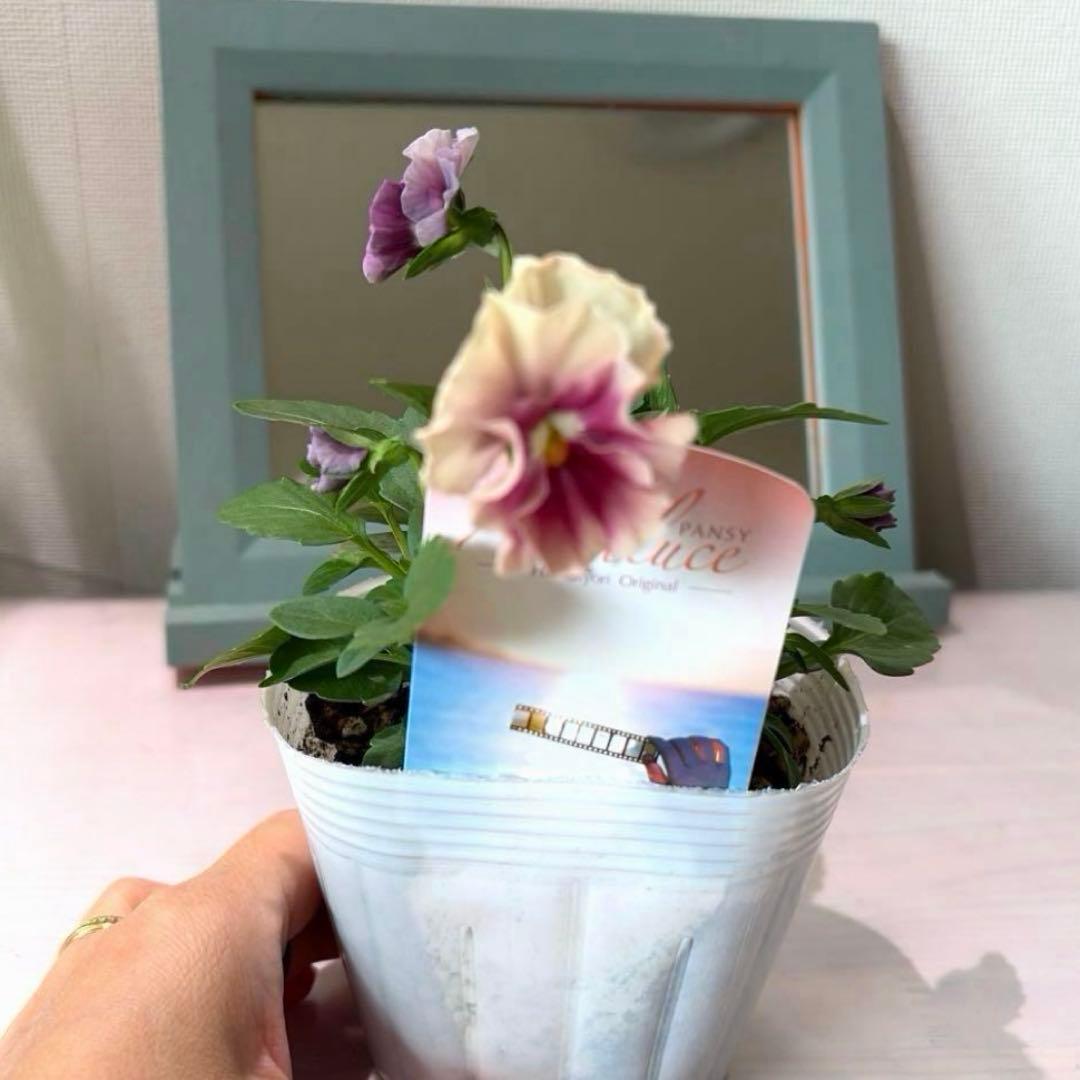 ✿Dom❤Mia✿プロフ必読✿様　リクエスト　おまとめ10点