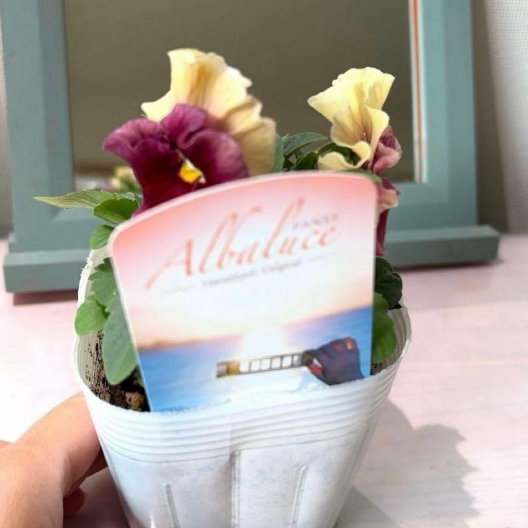 ✿Dom❤Mia✿プロフ必読✿様　リクエスト　おまとめ10点