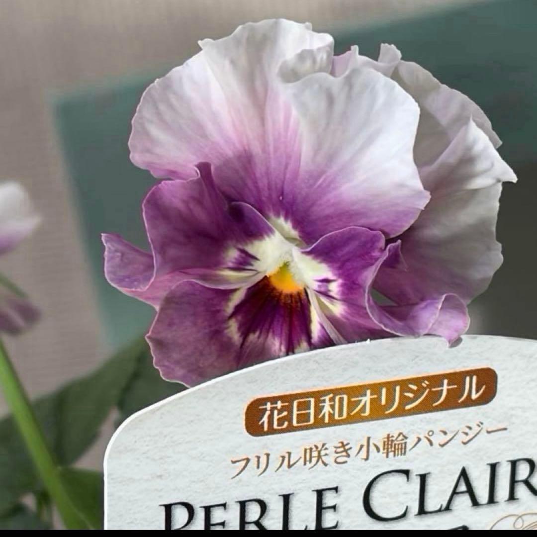 ✿Dom❤Mia✿プロフ必読✿様　リクエスト　おまとめ10点