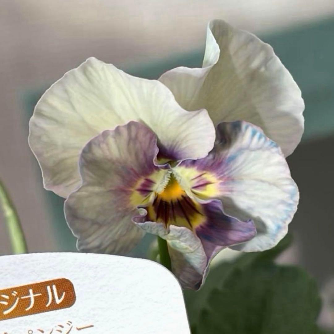 ✿Dom❤Mia✿プロフ必読✿様　リクエスト　おまとめ10点