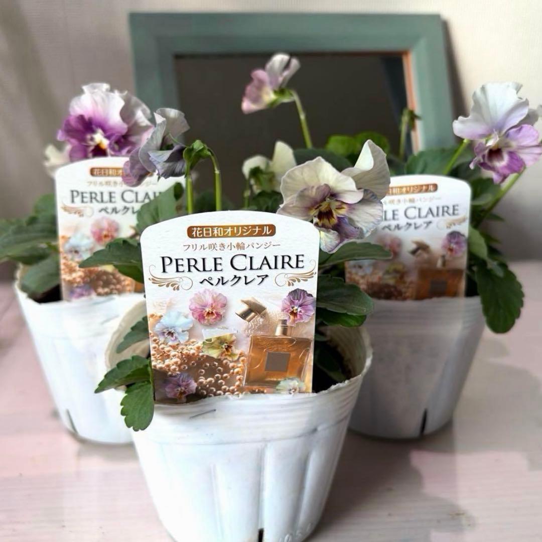 ✿Dom❤Mia✿プロフ必読✿様　リクエスト　おまとめ10点