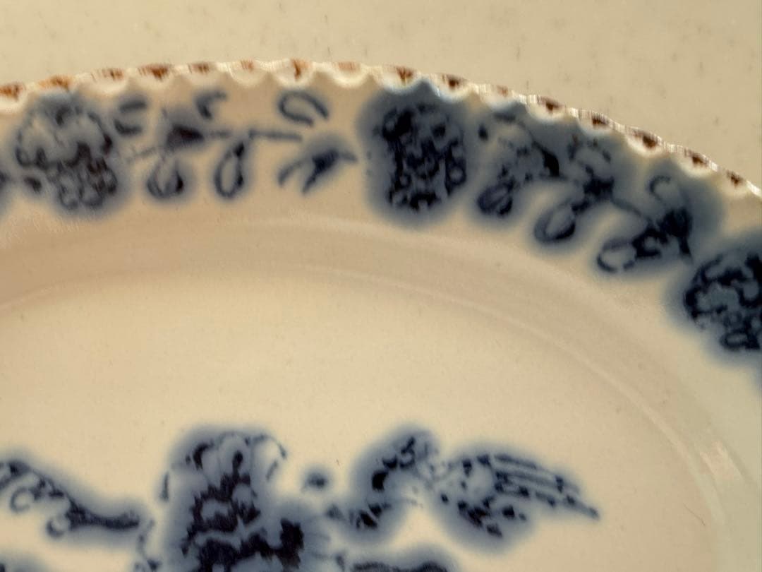 伊藤聡信　印判オーバル皿