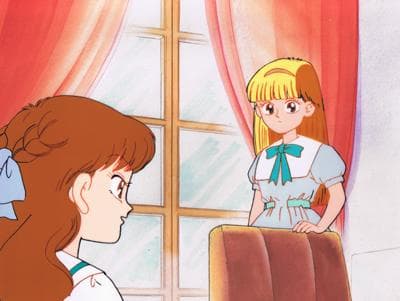 セル画 きんぎょ注意報! 藤ノ宮千歳 菅平由梨香 - メルカリ