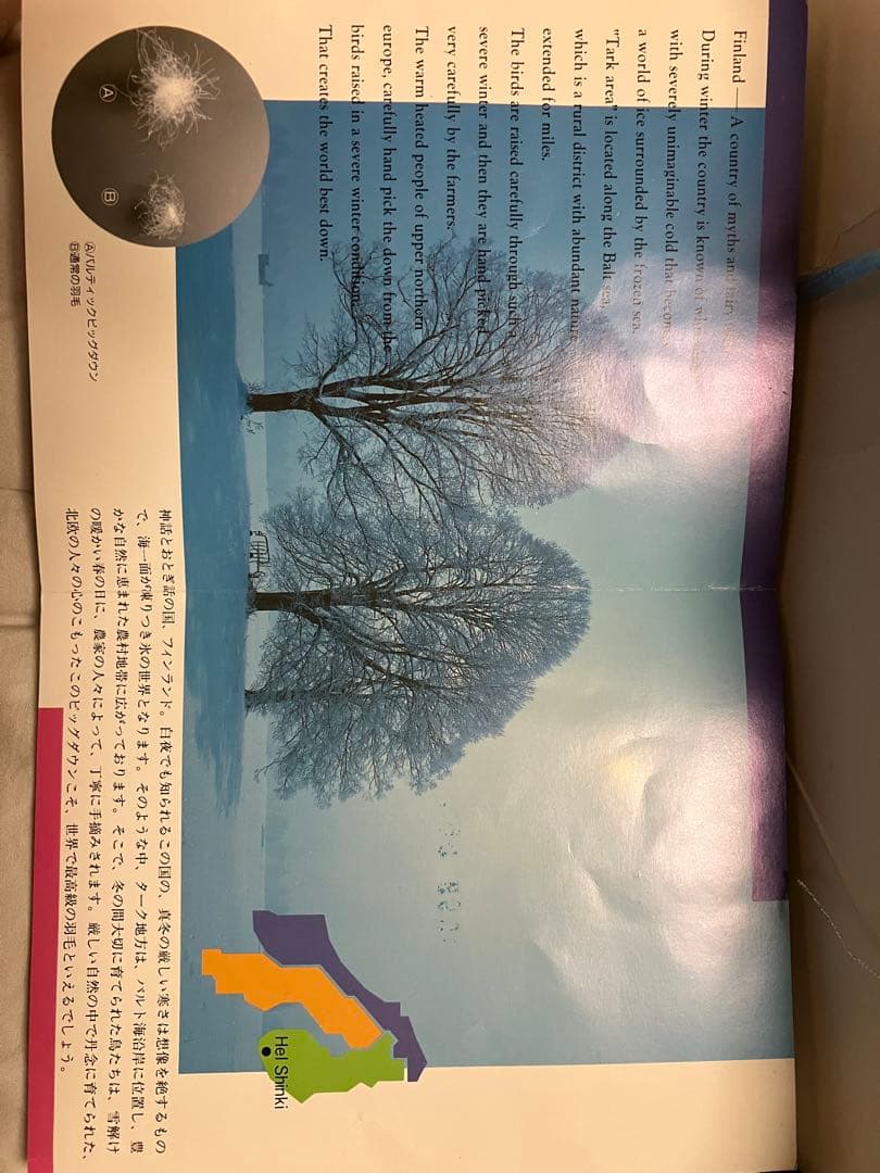 羽毛布団　1枚 パルティックビッグダウン 1.5kg 綿100% ピンク系花柄