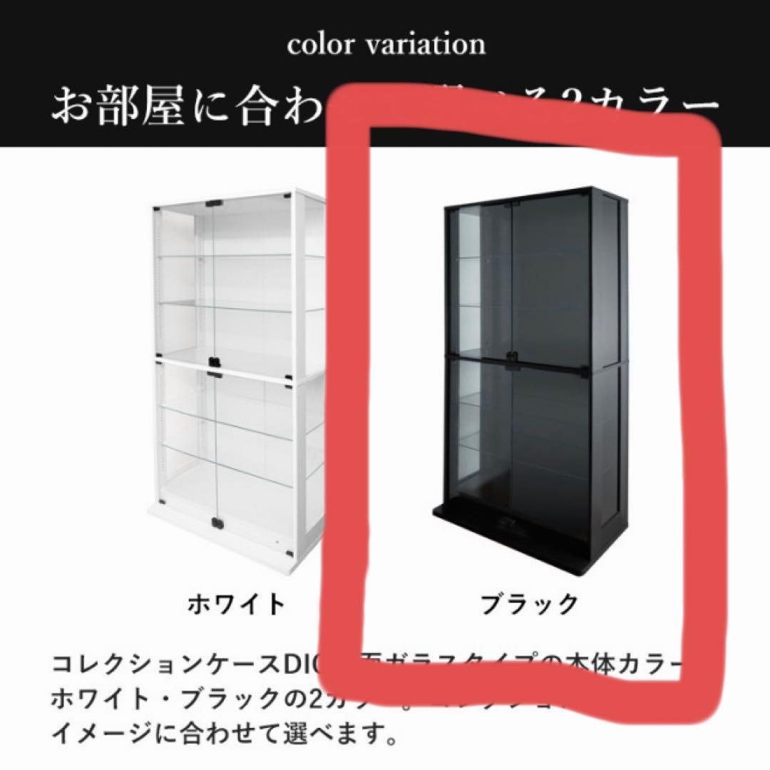 地球家具 コレクションケース DIO 側面ガラス 背面ミラー付き ブラック