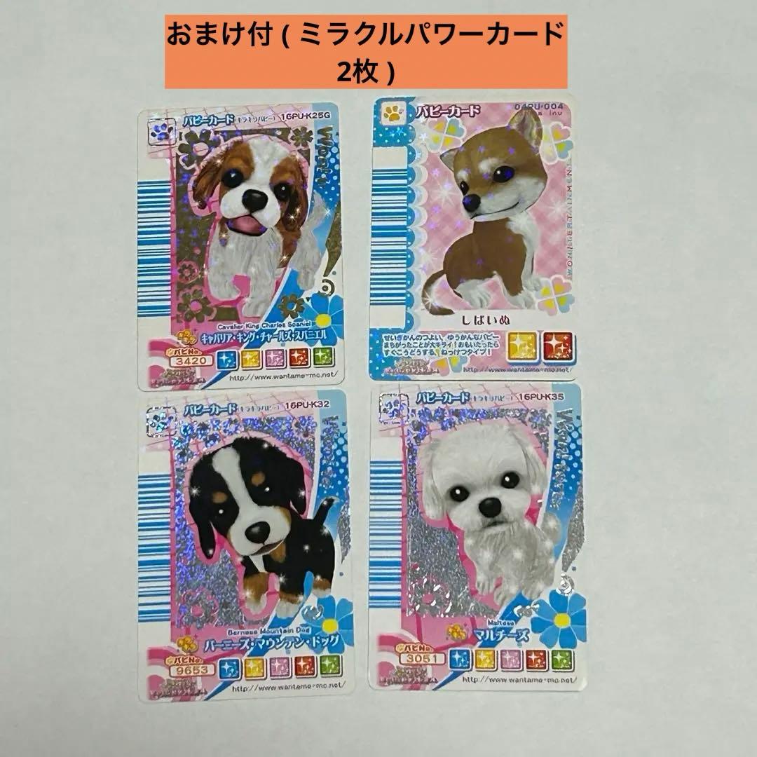 ワンタメ 【 パピーカード4枚セット＋おまけ2枚付 】 - メルカリ