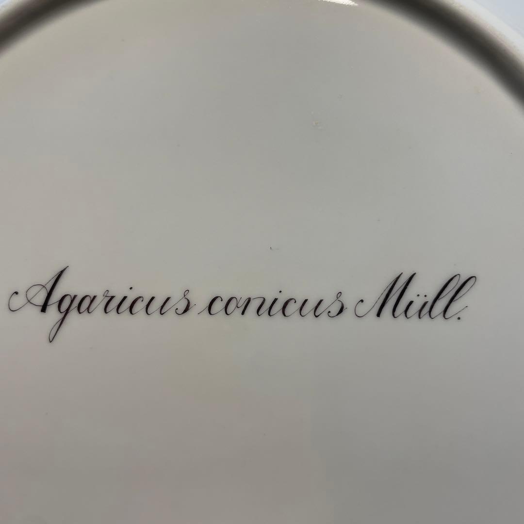 ロイヤルコペンハーゲン フローラダニカ 大皿25.5cm 新品未使用キノコ