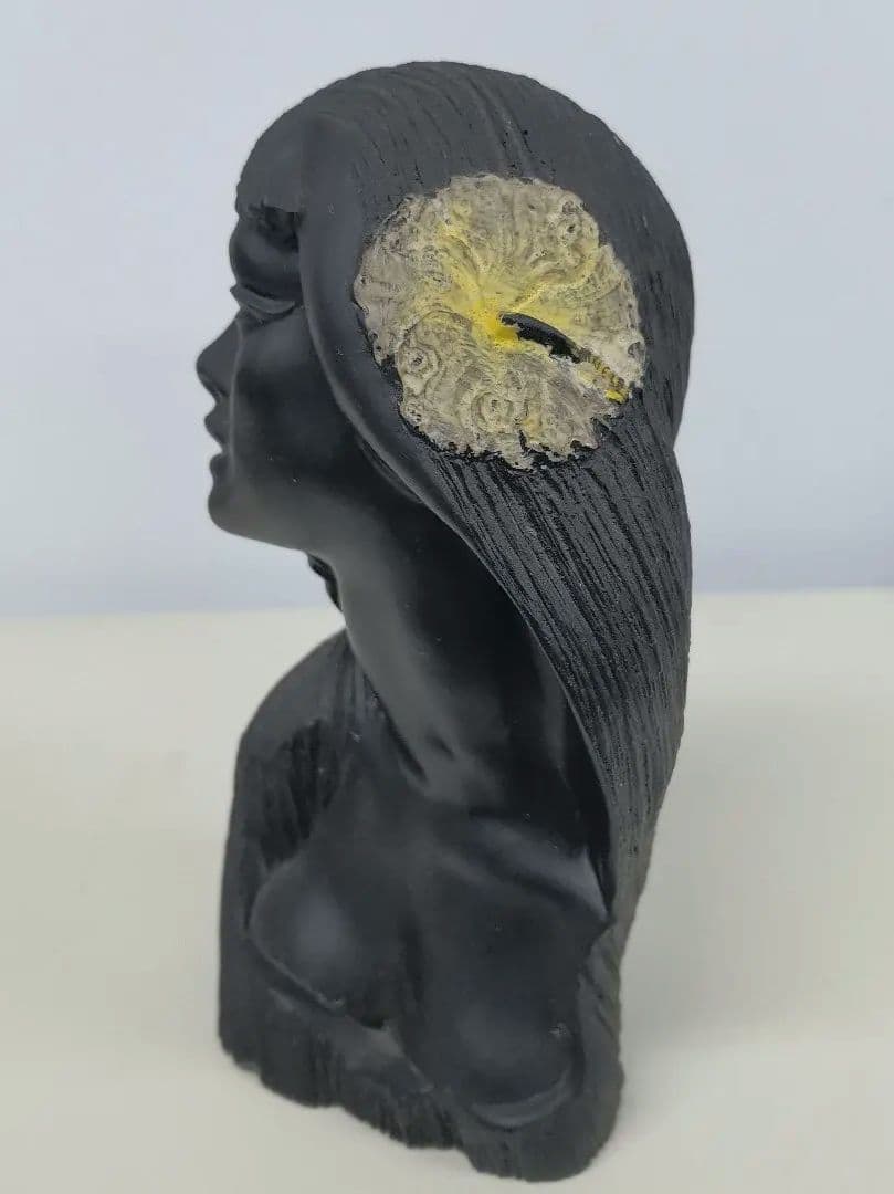 ハワイのフラの女神「ラカ」　黒珊瑚礁