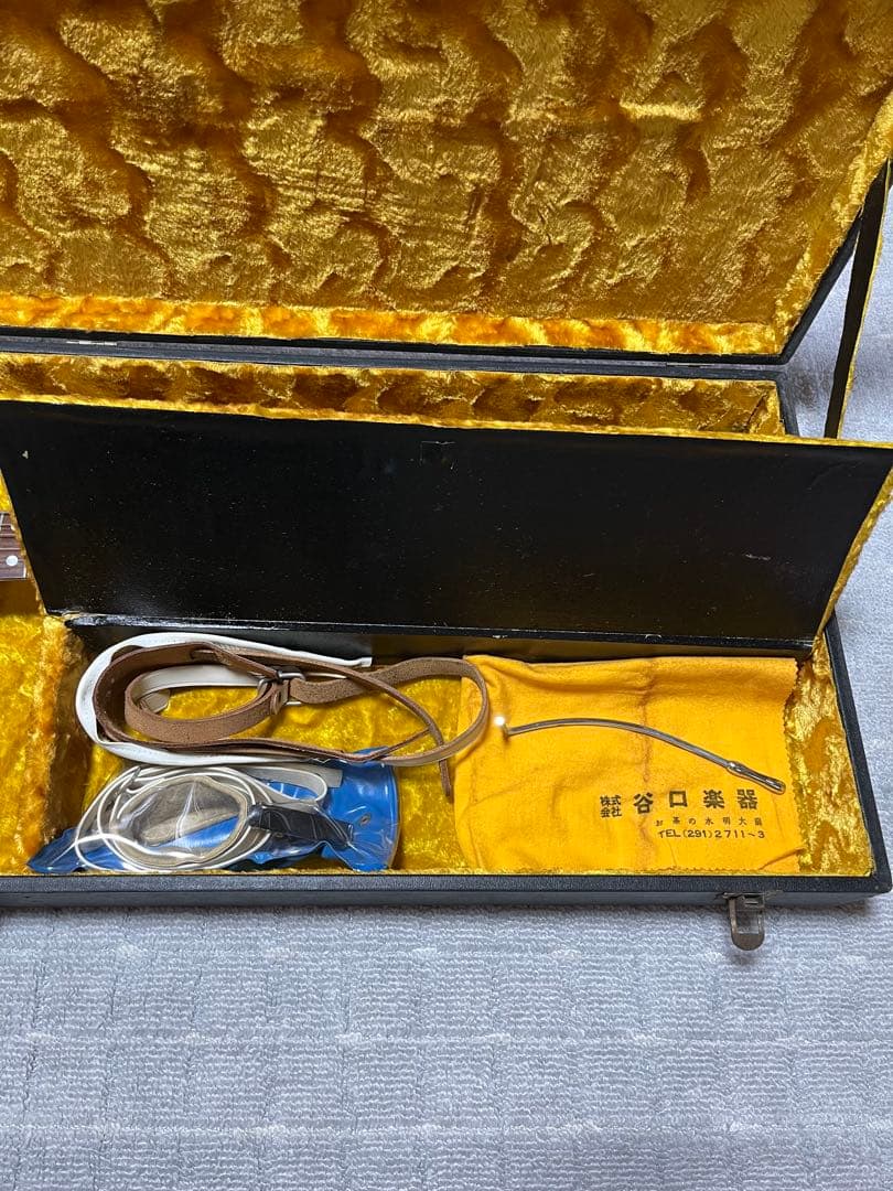 【希少】VOICE DELICATE PROFESSONAL #3 エレキギター