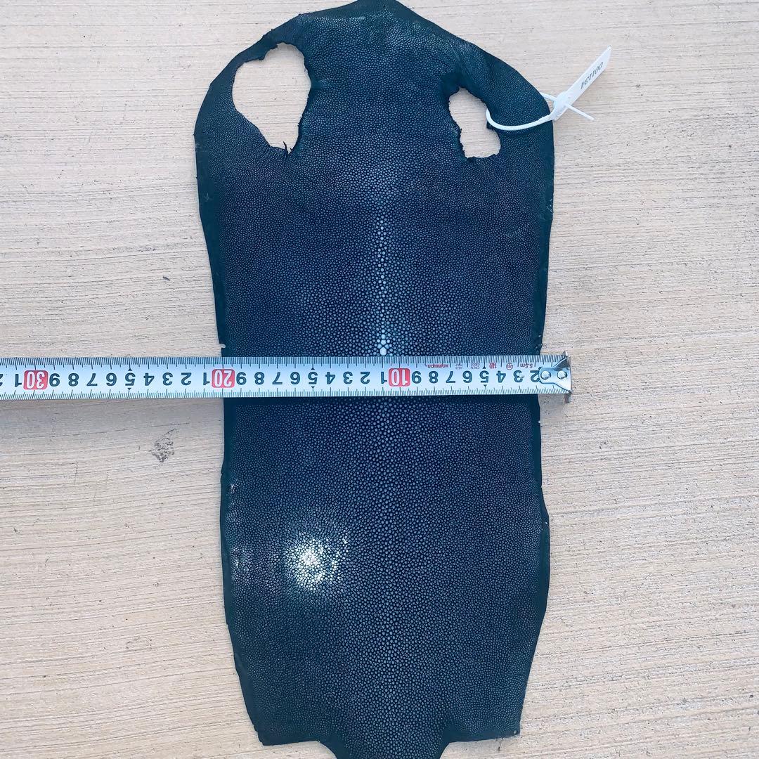 10) エイ革 鮫革 鮫皮 stingray ガルーシャ スティングレイ