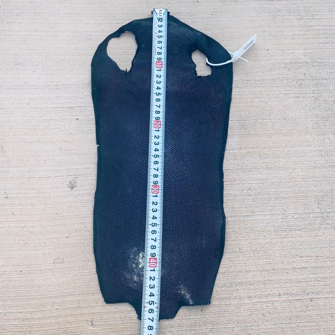 10) エイ革 鮫革 鮫皮 stingray ガルーシャ スティングレイ