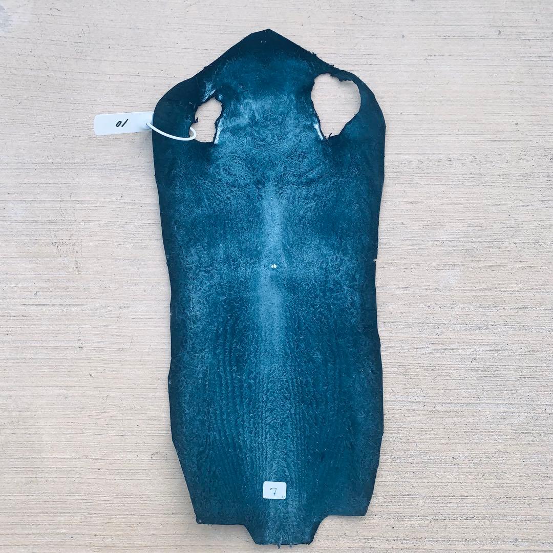 10) エイ革 鮫革 鮫皮 stingray ガルーシャ スティングレイ