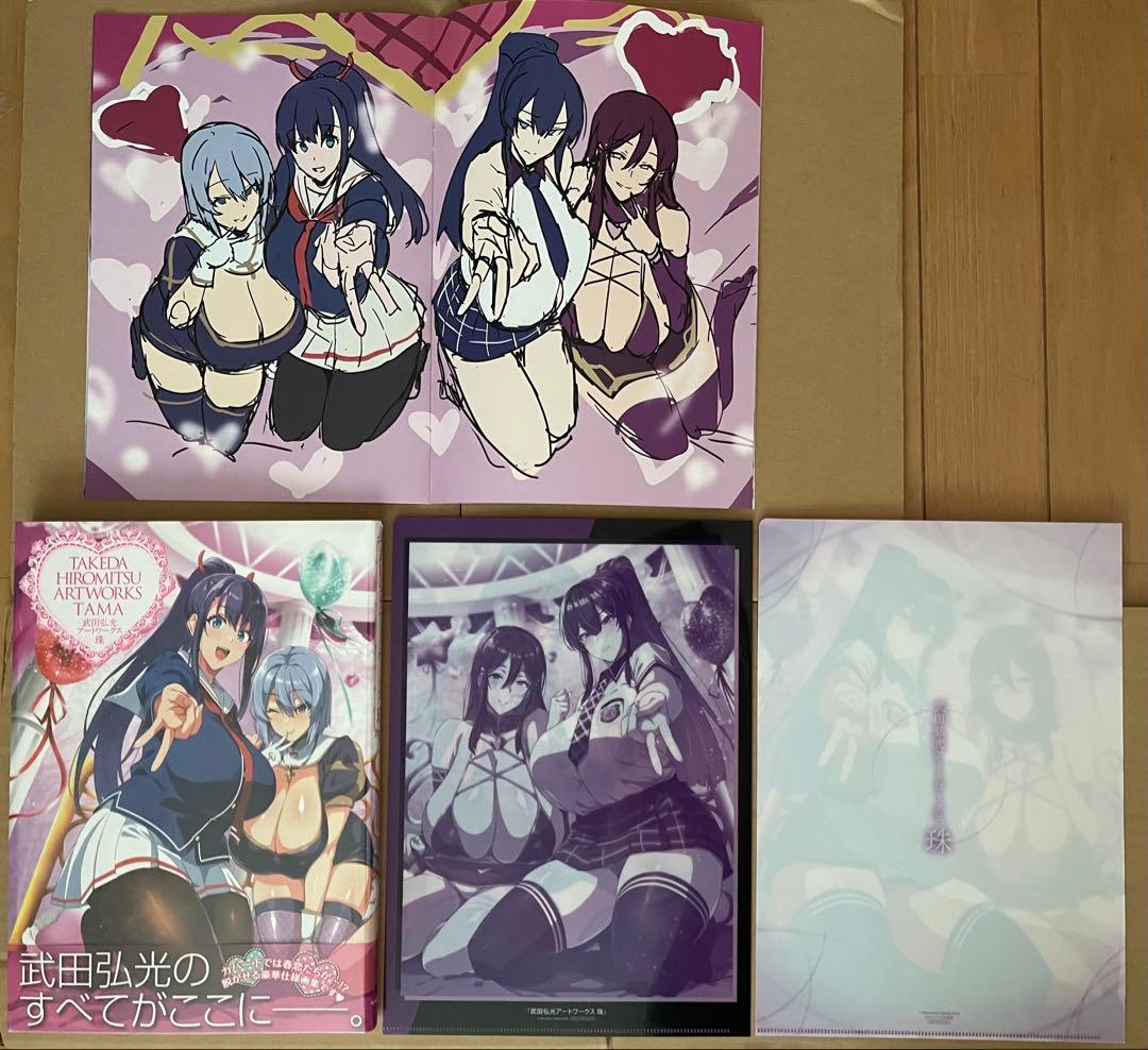 【全特典付き】武田弘光 アートワークス 珠 原画集 クリアファイル 未収録ラフ集