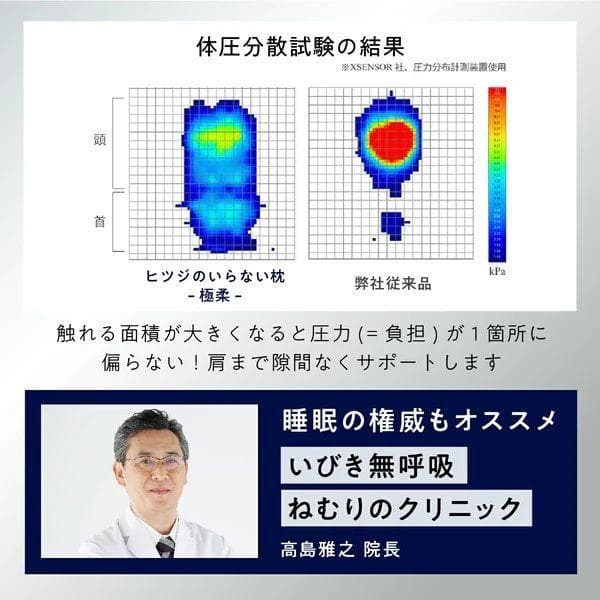 【新品】ヒツジのいらない枕 至極 テンセル　専用枕カバー付き　丸洗いOK