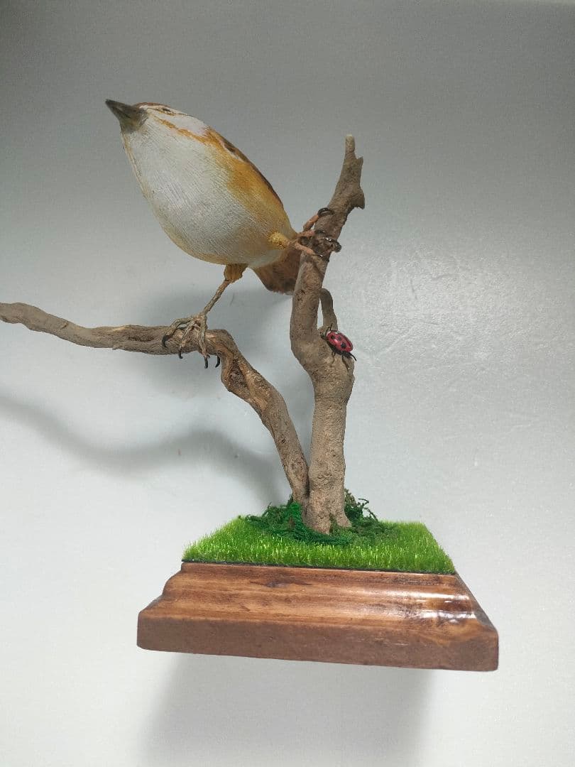 セッカ　バードカービング