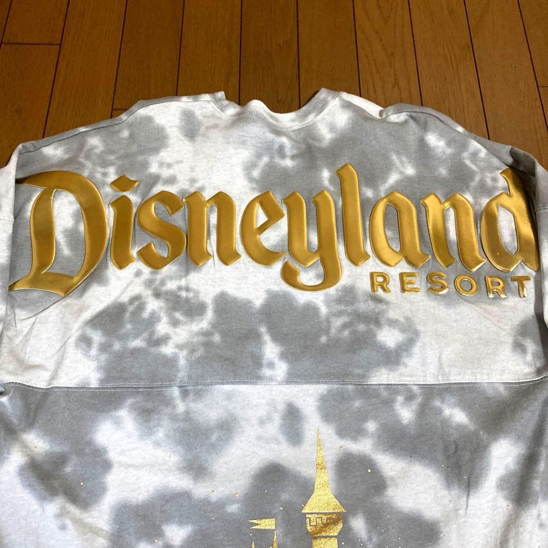 海外限定 ディズニー スピリットジャージー ロンT アナハイム M