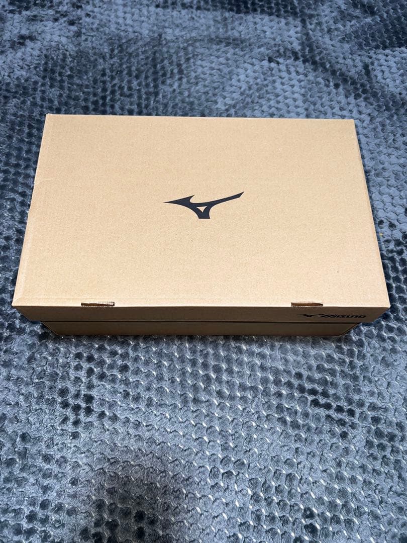 Mizuno ALMIGHTY LSⅡ52LBOA 28.0cm EEE 安全靴